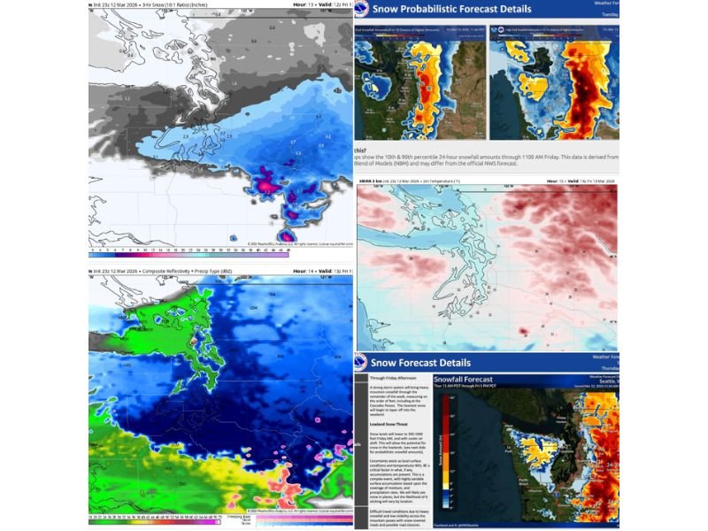 Washington Weather Alert: Rare Wet Snow Could Mix With Rain Around Seattle Friday Morning Commute