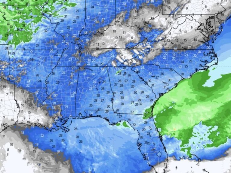 Georgia, South Carolina, Alabama and Florida Brace for Strong Winds as Gusty Conditions Sweep Southeast With Chilly Temperatures