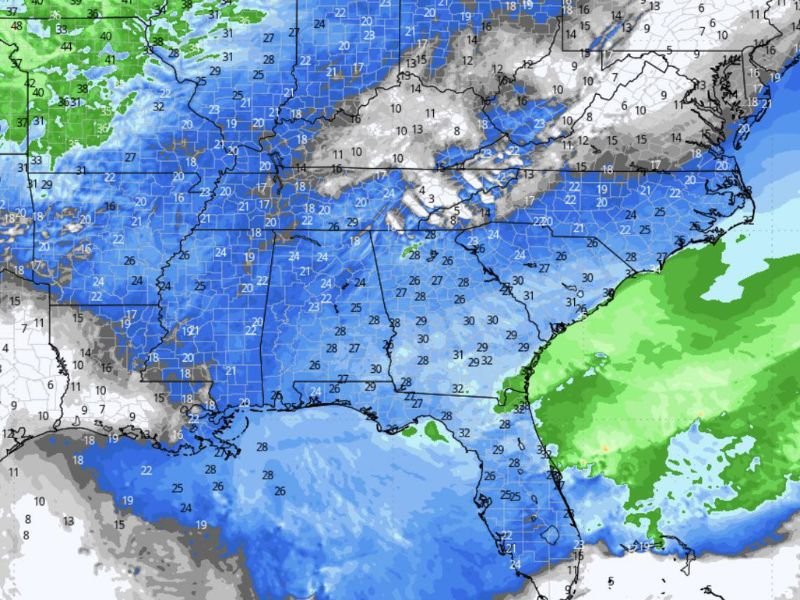 Georgia, South Carolina, Alabama and Florida Brace for Strong Winds as Gusty Conditions Sweep Southeast With Chilly Temperatures