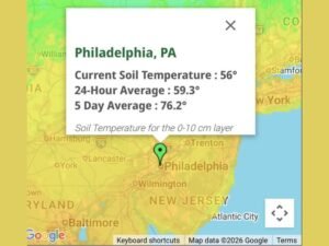 Lightning Bugs Set to Emerge Earlier Than Usual This Year, Philadelphia and Pennsylvania Soil Temperatures Nearing the Critical 60 Degree Threshold