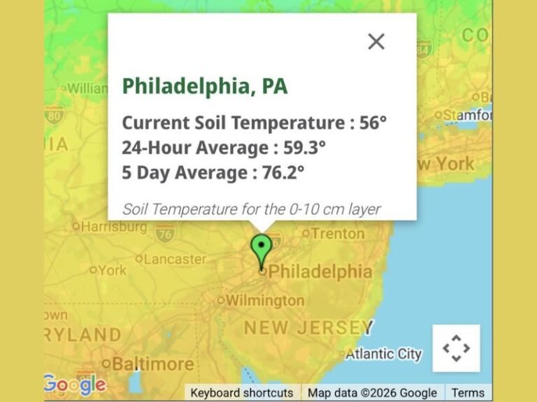 Lightning Bugs Set to Emerge Earlier Than Usual This Year, Philadelphia and Pennsylvania Soil Temperatures Nearing the Critical 60 Degree Threshold