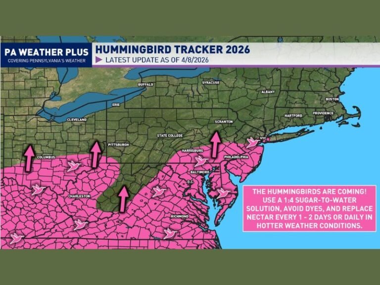Pennsylvania, New Jersey, Maryland and New York See Hummingbird Migration Surge as Spring Push Brings Birds Into Northeast This Week