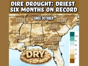 Record-Breaking Drought Grips the Entire Southeast, Florida and Surrounding States Endure Driest Six Months Since October With 83% Under Severe Conditions