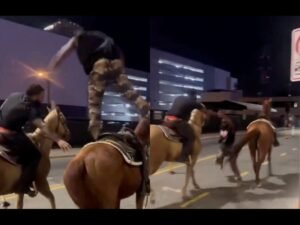 Two Men Arrested in Charlotte North Carolina After Horse Forced Into Traffic Gets Hit by Car in Chaotic Late Night Incident