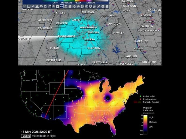 188500 Birds in Flight Detected Over Birmingham Alabama by Doppler Radar Saturday Night Traveling North at 28 MPH and 3300 Feet Altitude Tracked by Cornell University Birdcast