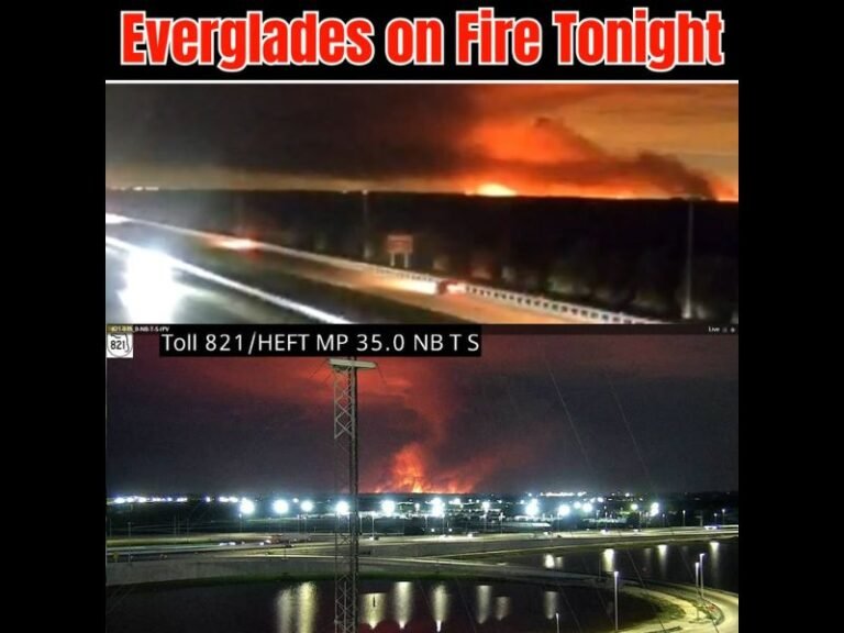 4800 Acre Max Road Miramar Wildfire Burns Through the Everglades Tonight Just South of I-75 Near Pembroke Pines as Massive Flames Light Up South Florida Sky
