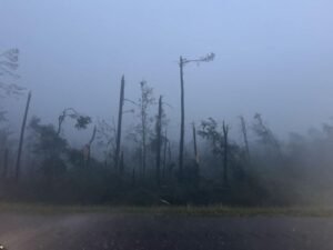 Large Wedge Tornado Crosses I-55 South of Brookhaven Mississippi Causing Tree Damage and Blocking Roadway While Wrapped in Fog and Rain