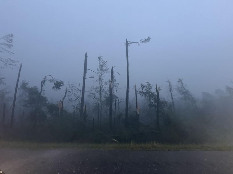 Large Wedge Tornado Crosses I-55 South of Brookhaven Mississippi Causing Tree Damage and Blocking Roadway While Wrapped in Fog and Rain