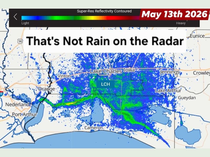 Massive Flying Termite Swarms Appearing on Doppler Radar Across Louisiana on May 13 Mistaken for Rain as Dense Insect Clouds Rise Over Lake Charles Baton Rouge and New Orleans