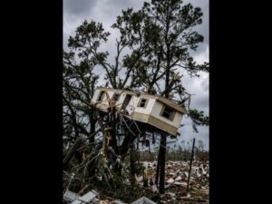 Mobile Home Lifted Into Tree Branches as Powerful Wedge Tornado With 150 MPH Winds Tears Through Brookhaven Lincoln County Mississippi Leaving Unbelievable Destruction Scenes Across Central Mississippi