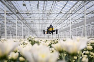 Honeybee Brain Navigation So Powerful That Engineers Have Now Copied It to Build Drones That Fly 600 Meters Home Without GPS or a Map
