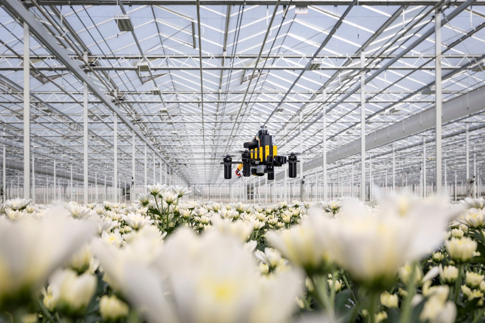 Honeybee Brain Navigation So Powerful That Engineers Have Now Copied It to Build Drones That Fly 600 Meters Home Without GPS or a Map